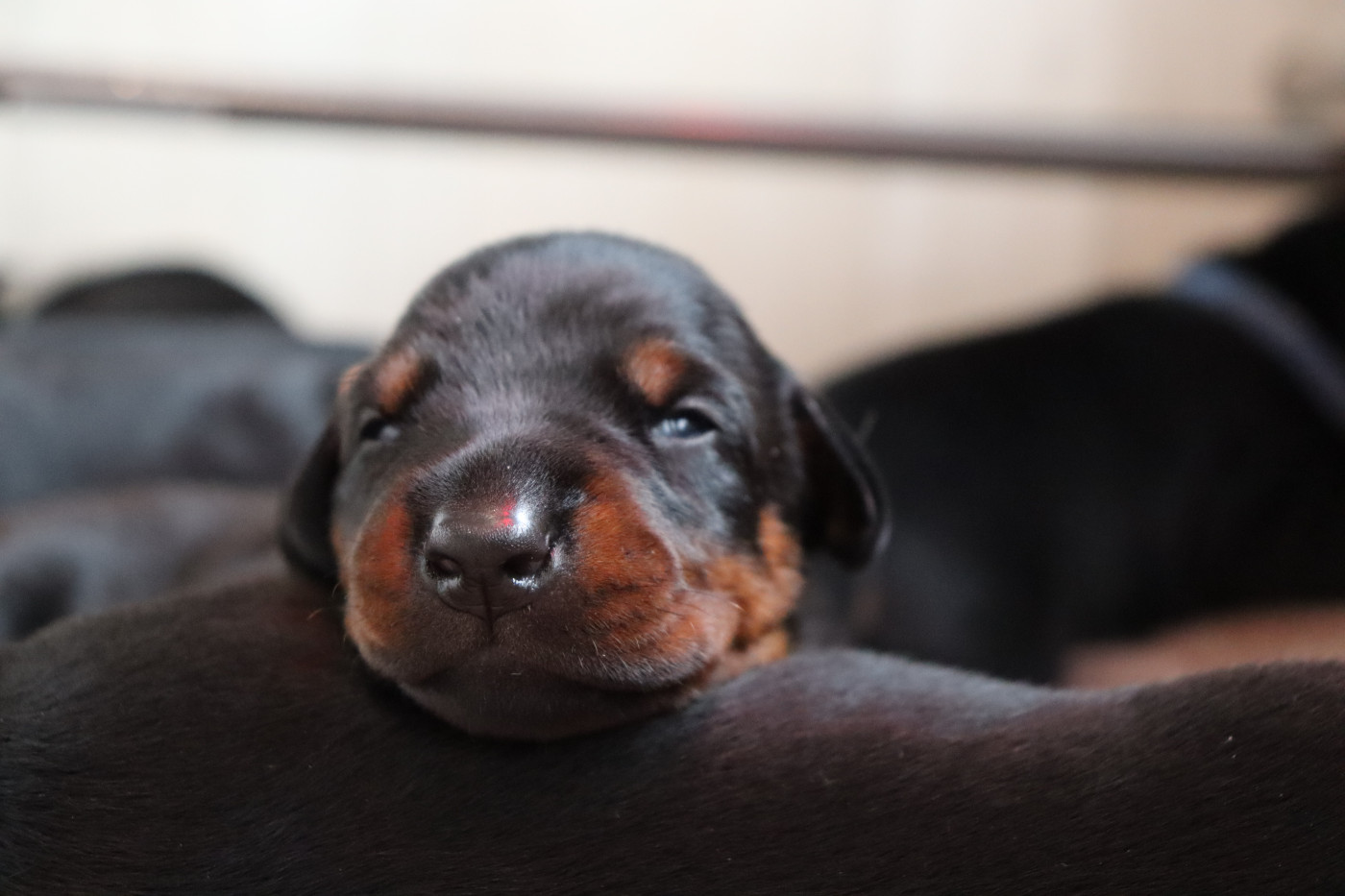 Les yeux s'ouvrent sur le monde